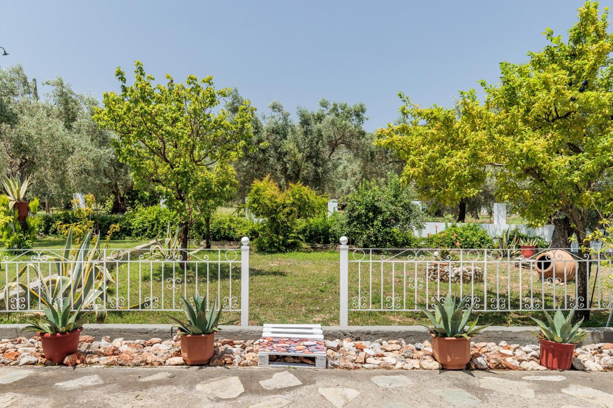 Panagou Studios Skopelos Town Exterior photo